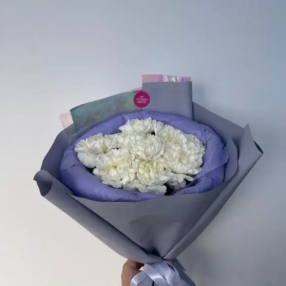 Моно гвоздика