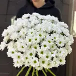Букет из  15 кустовых хризантем, фото 1