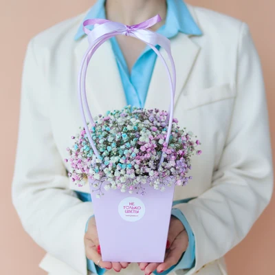 Композиция "Сумочка с радужной гипсофилой"