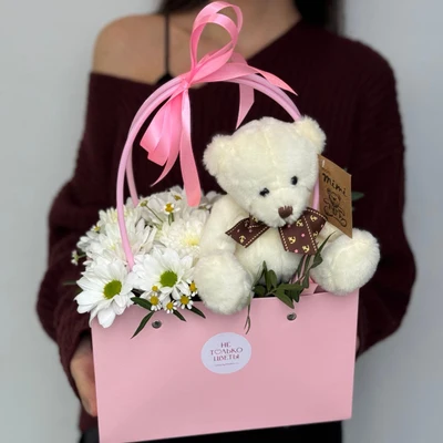 Сумочка с мишкой